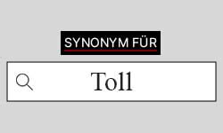 synonym für toll|toll – Schreibung, Definition, Bedeutung, Etymologie, Synonyme .